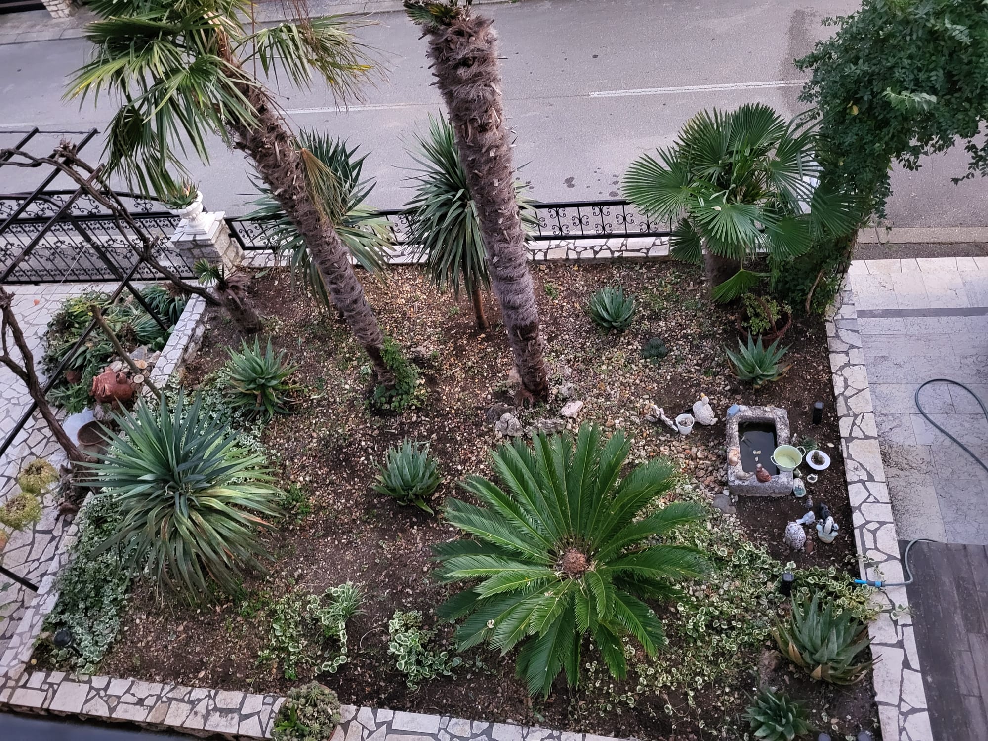 Unser Garten — 3
